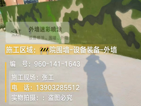 滨海 迷彩漆喷涂价格(按平方米计费)
