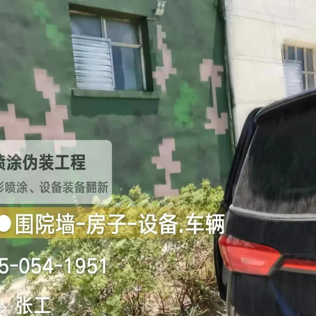 滨海数码迷彩漆施工
